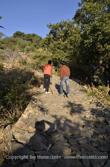 05 Mount_Abu_DSC4076_b_H600